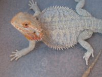 IMG_0798.jpg