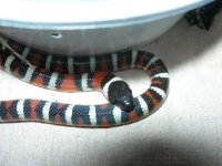 DSCN6508.JPG