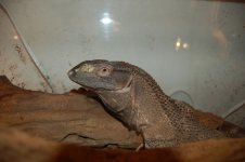 DSC_1153.jpg