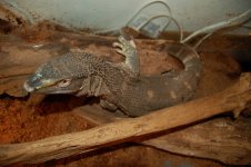 DSC_1152.jpg