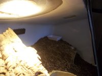 100_0111.jpg