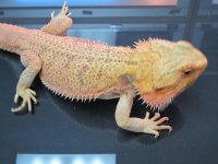 IMG_0514.jpg