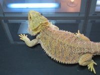 IMG_0516.jpg