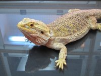 IMG_0517.jpg
