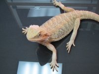 IMG_0518.jpg