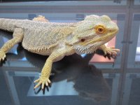 IMG_0521.jpg
