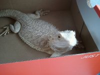 2012-03-24_16.32.02.jpg