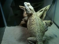 2012-04-25_12.56.09.jpg