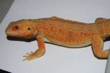 DSC_1013.jpg