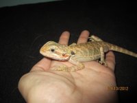 IMG_1322.jpg