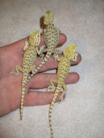 IMG_3496.jpg