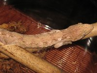 IMG_2508.jpg