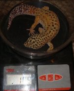 DSC03214.jpg