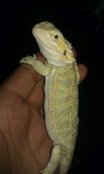 IMAG0503.jpg