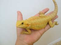 IMG_0586.jpg
