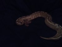 2012-04-13 06.59.23.jpg