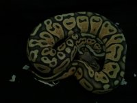2011-09-04 16.20.34.jpg