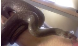 IMG_20120619_152030.jpg