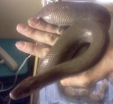 IMG_20120619_152133.jpg