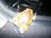 100_3333.jpg