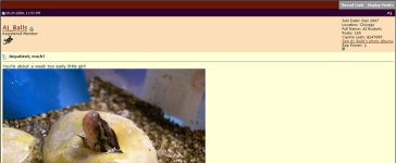 AJ_balls-2008-06-04_111741-res.jpg