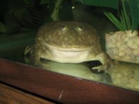 IMG_1281.JPG