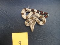 Picture 037-1.jpg