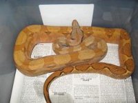 C12  6-10-08 015.jpg