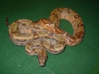 new camera pics 107.jpg