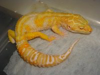 DSCN4545.JPG