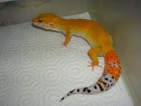 DSCN4552.JPG