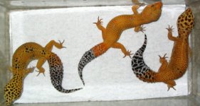 128_2819.JPG