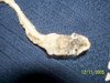 100_0263_resize_resize.jpg