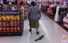 Wallmart gator.jpg