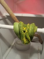 20120501_185201.jpg