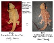 Dolly elvis clutch two.jpg