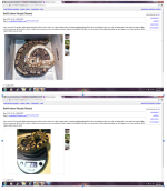 Craigslist ad.png