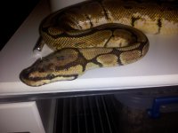 20120506_222702.jpg