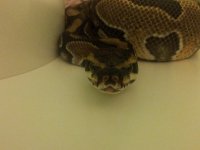 20120506_222414.jpg
