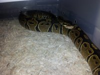 20120506_222526.jpg