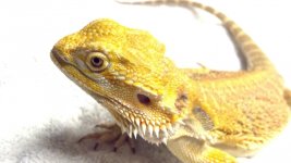 2012-04-13_17-59-33_774.jpg