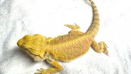 2012-04-13_17-59-47_511.jpg