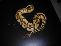 sale pics 019.jpg