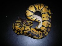 sale pics 027.jpg