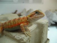 052812 PI1-2.JPG