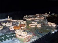 2012 sunglow litter GOO 001.jpg