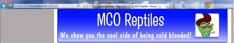 Cool side of being coldblooded.jpg