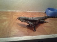 20120607_202016.jpg