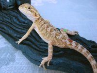 IMG_3289.jpg