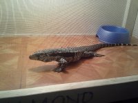 20120607_202026.jpg
